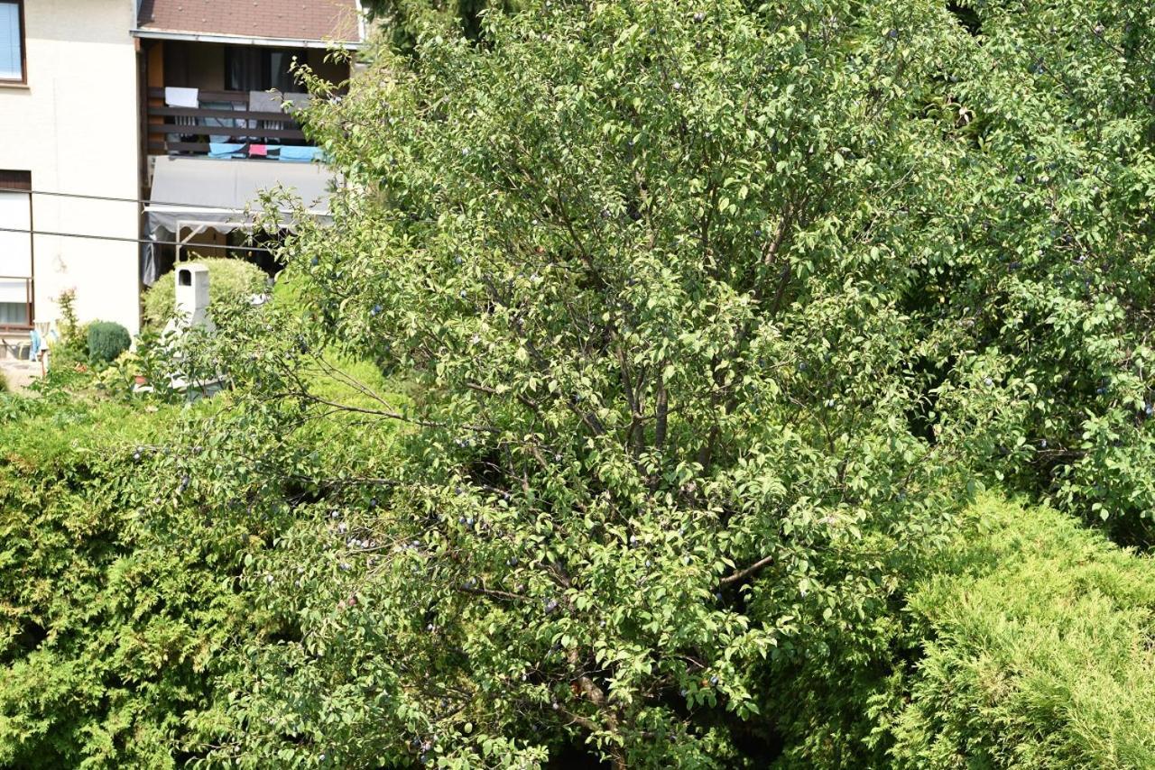 Apartman Jadranka Zaprešić Dış mekan fotoğraf
